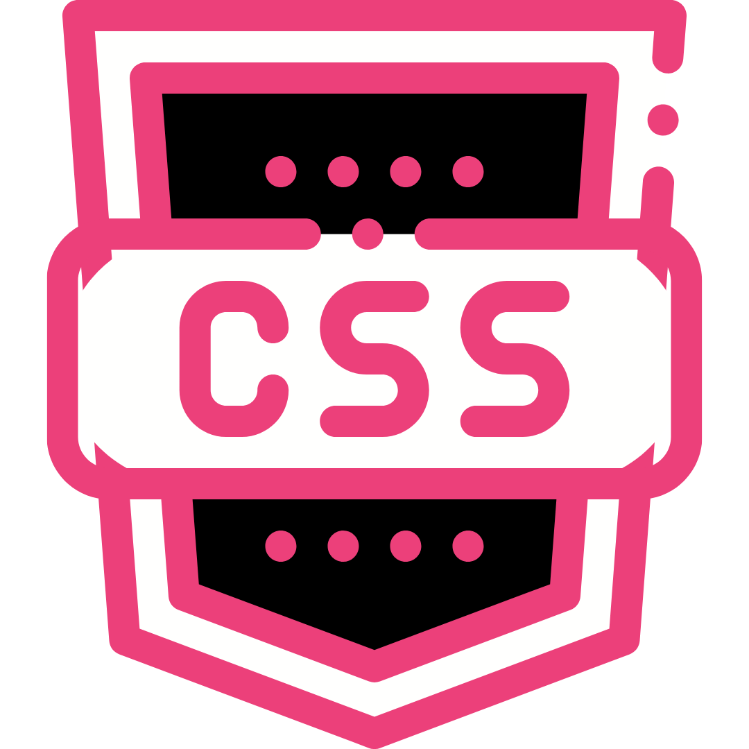 icone css